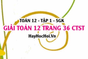 Giải Toán 12 trang 36 tập 1 Chân trời sáng tạo